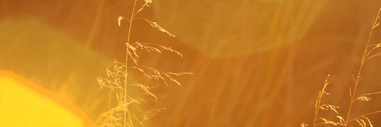 clcawakening's profile banner image
