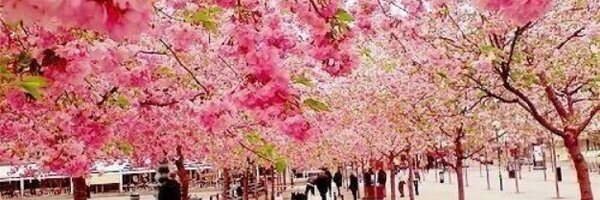 Donziii Profile Banner