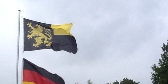 Herr_Steiner_M's profile banner image
