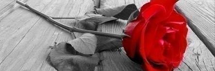 mellyza92's profile banner image