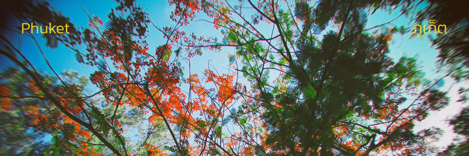 straightredtea's profile banner image