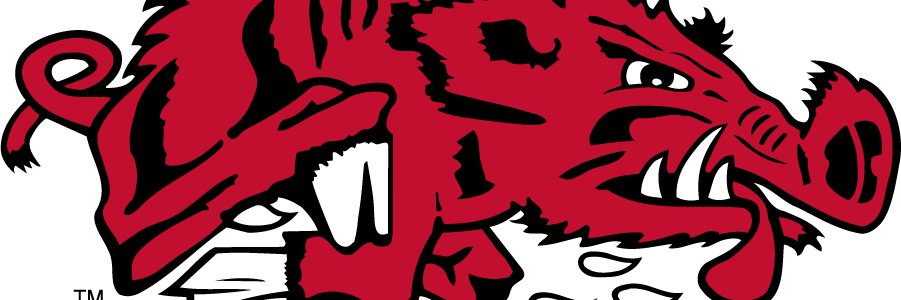 Hogsanon's profile banner image