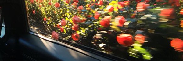 gainlabai Profile Banner