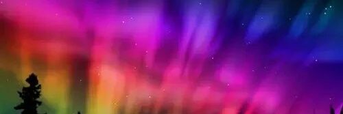 _katebird's profile banner image