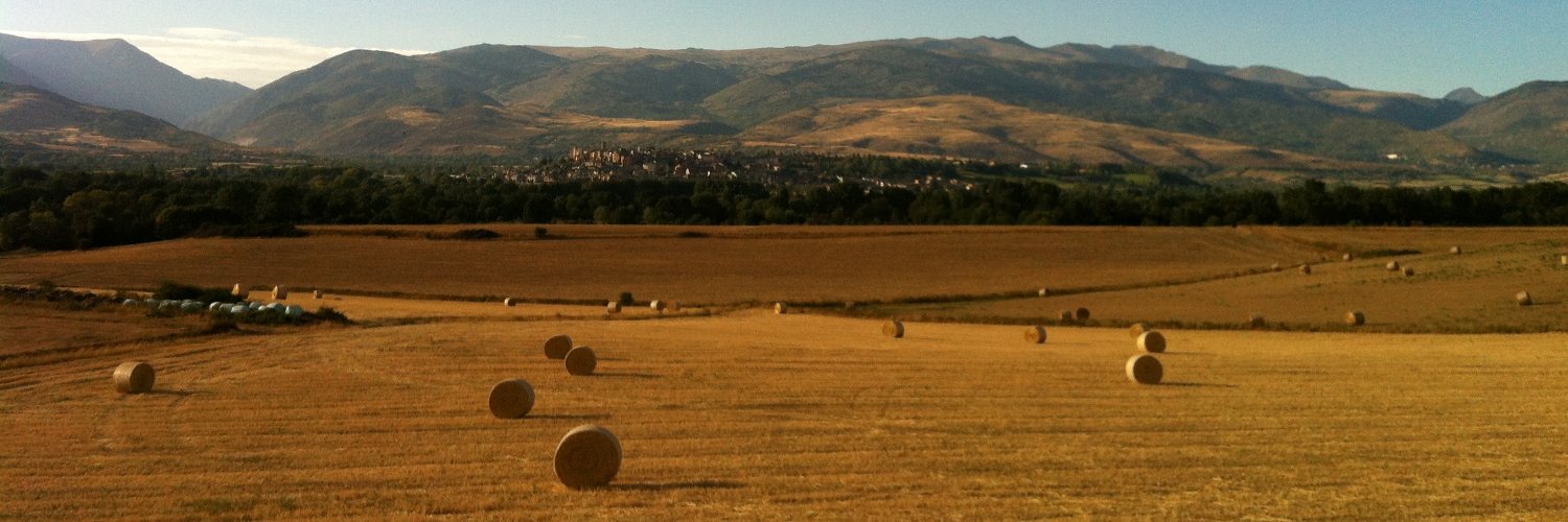 fcomellas's profile banner image
