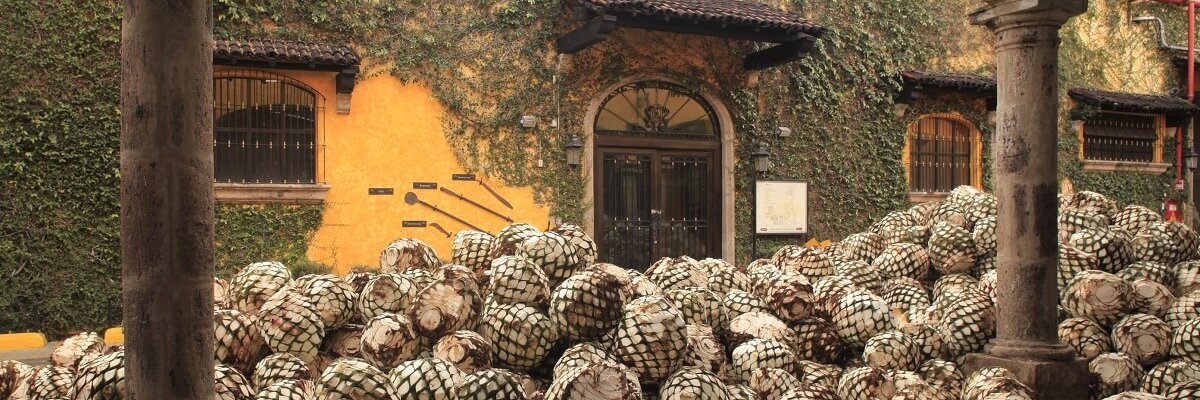 adolfo_cb's profile banner image