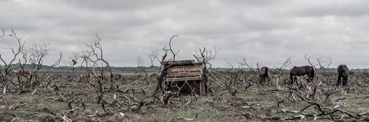 Taylor Walker banner