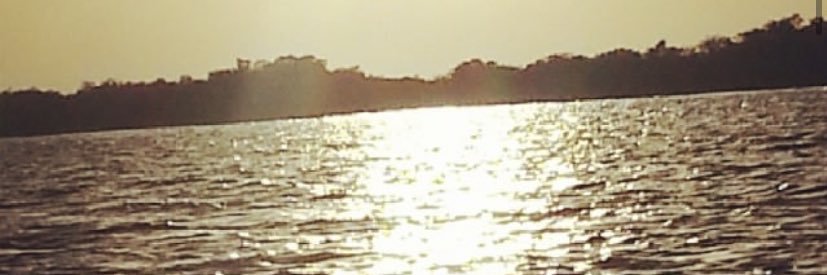 remmass206's profile banner image