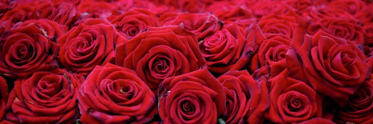 KoborinX2's profile banner image
