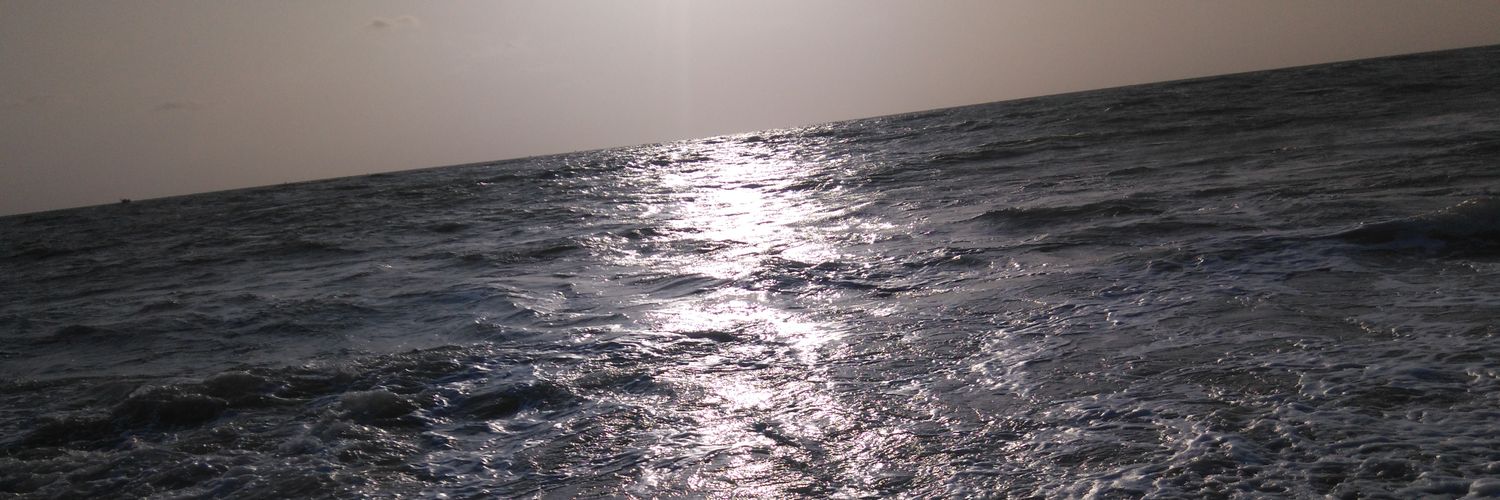 10Karthik's profile banner image