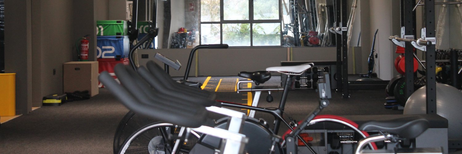 BJ Trainers & Co. banner