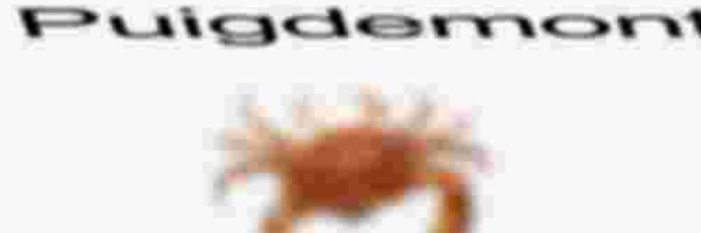 didackkk's profile banner image