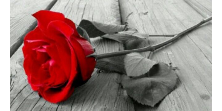 erysrys's profile banner image