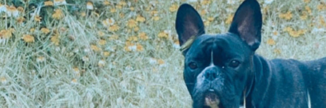 caarmemartinez's profile banner image