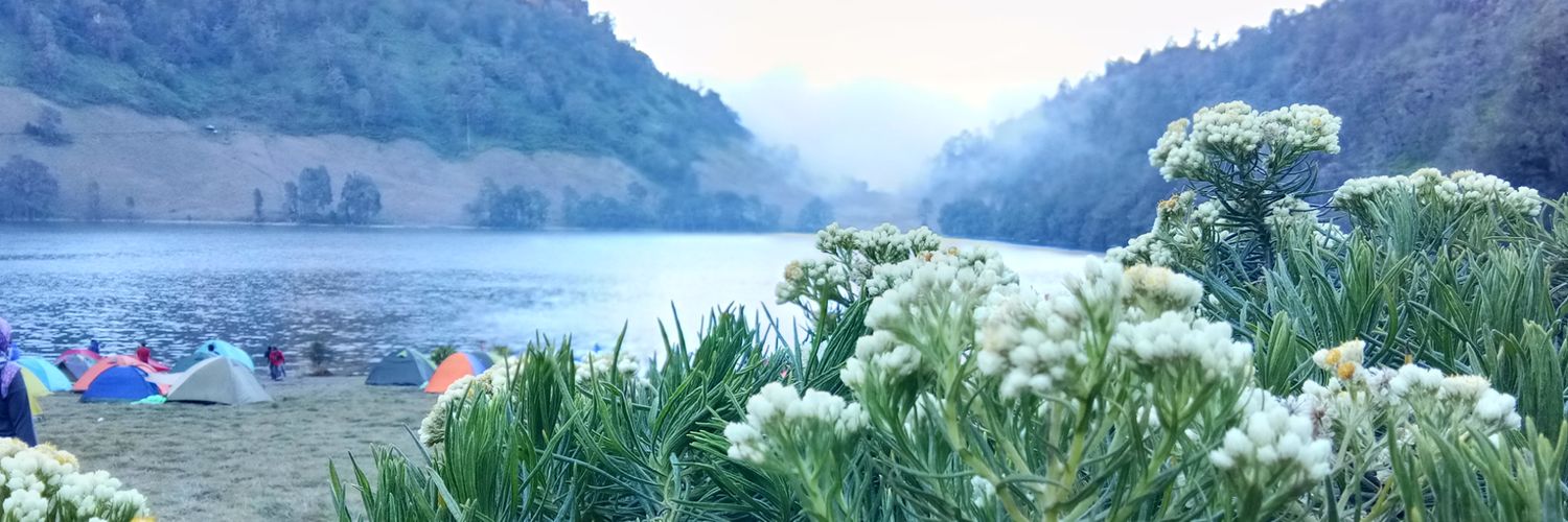 dessylindaa's profile banner image