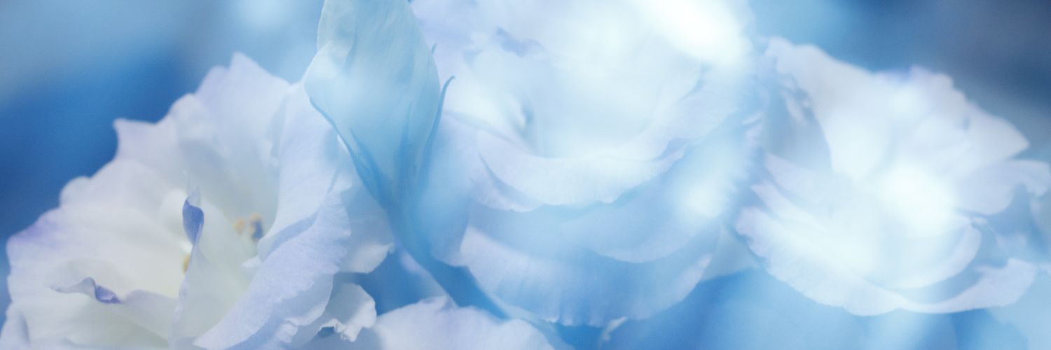 s_realblue's profile banner image