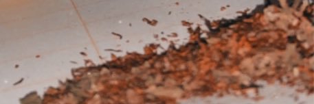 coquelic0t's profile banner image