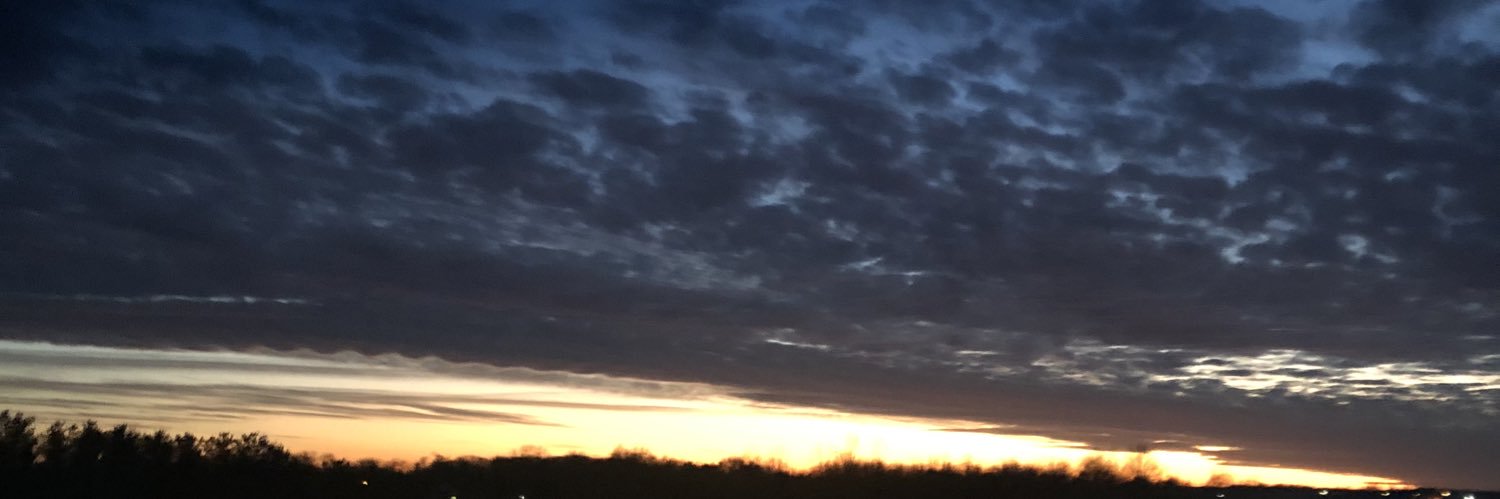 devin_rubush's profile banner image