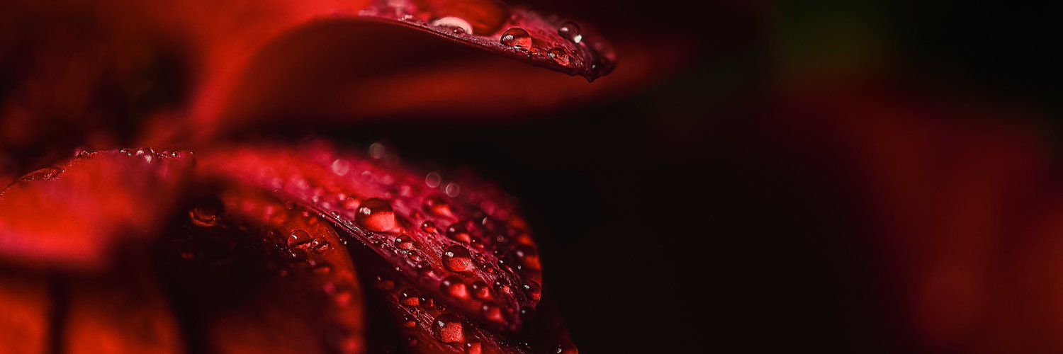 Veyobee's profile banner image