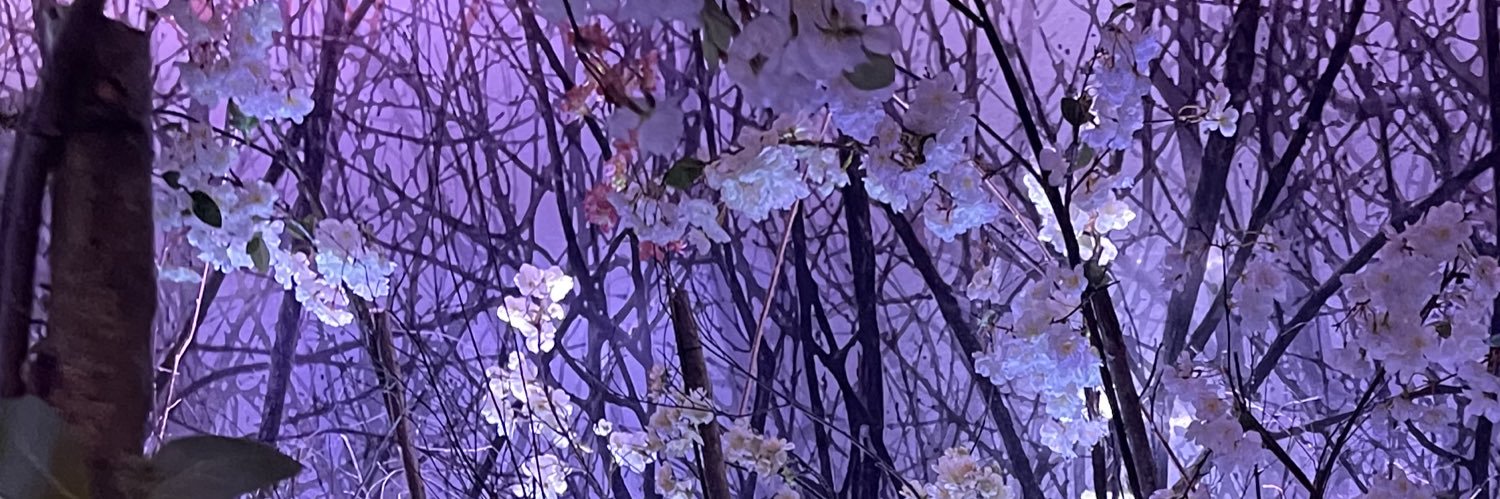 hargravesae's profile banner image