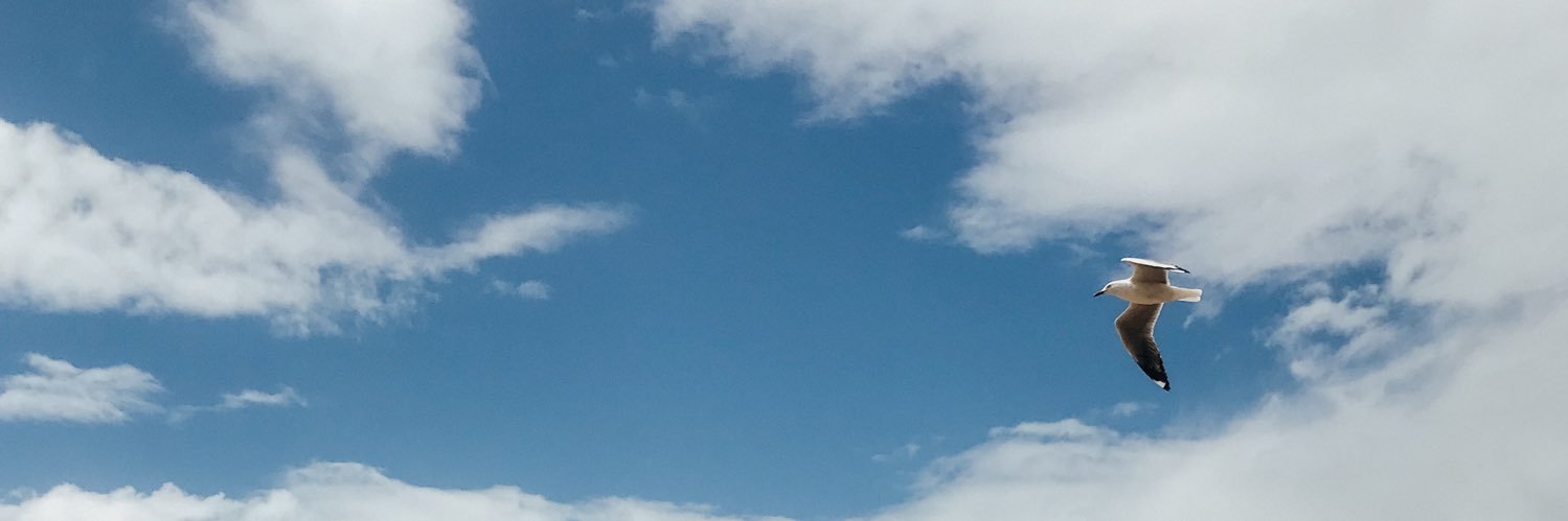 agiis's profile banner image