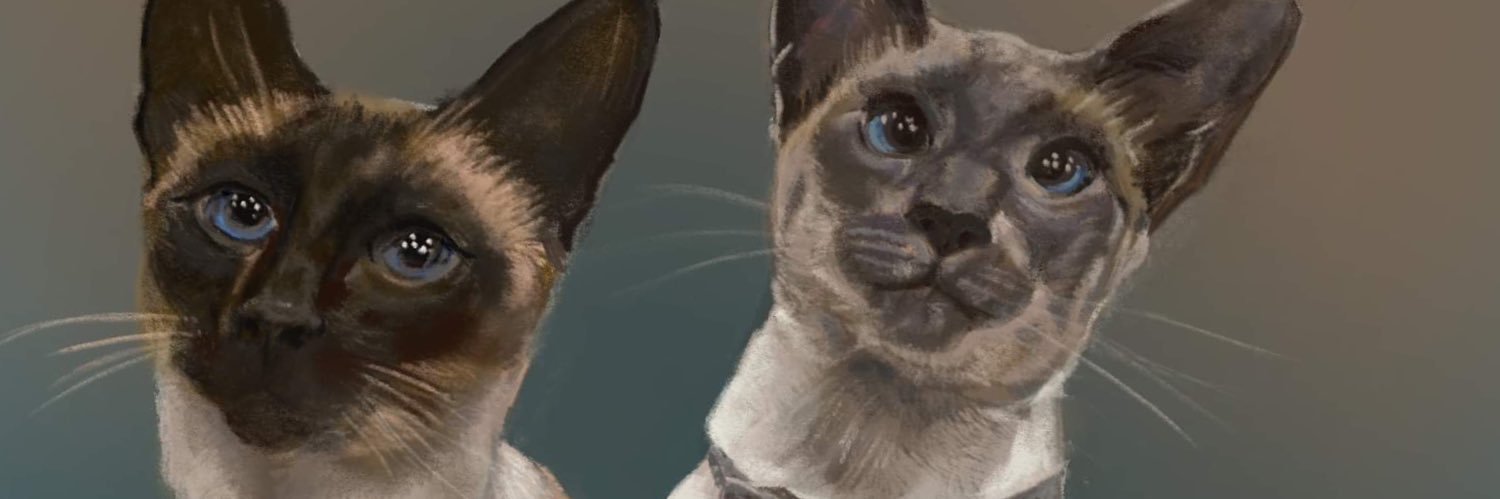 cazwhittle's profile banner image