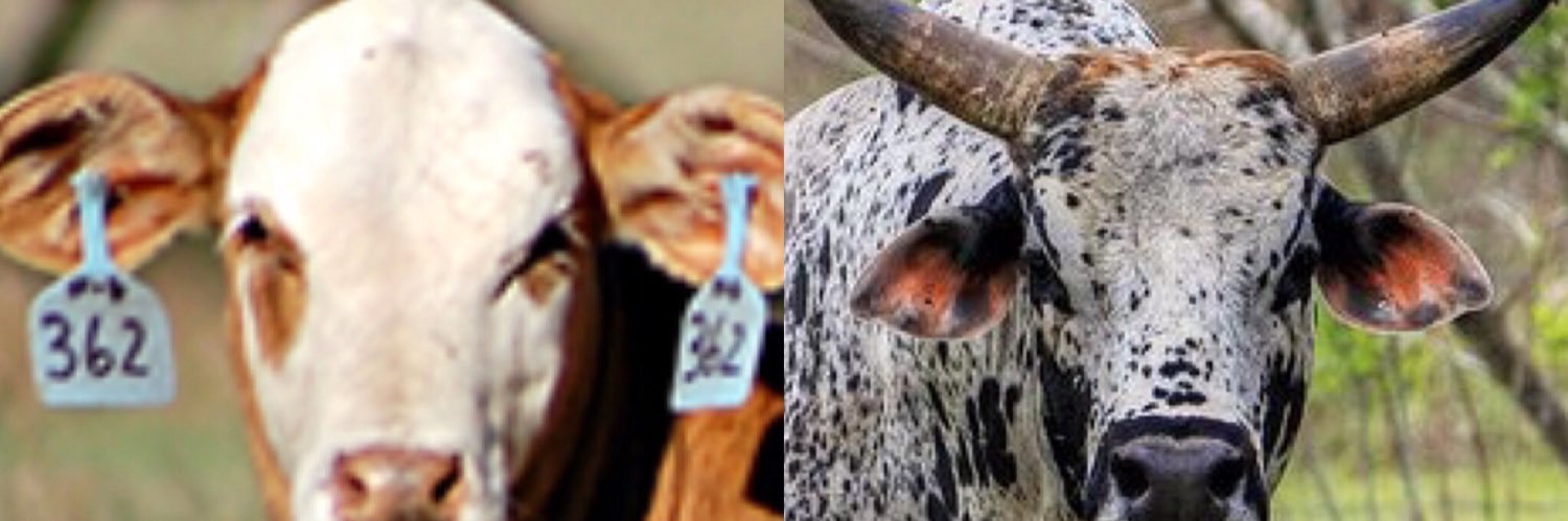 cmoneywright's profile banner image