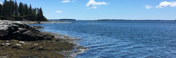 bwayebetz Profile Banner