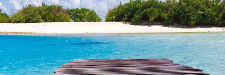 Alguyani's profile banner image