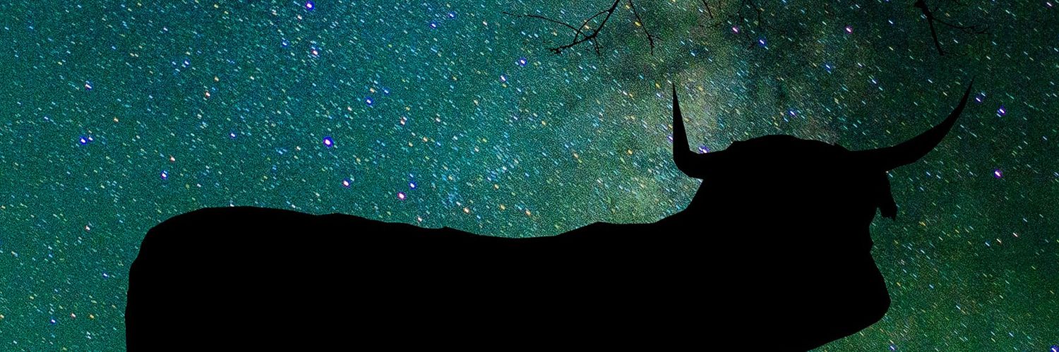 WhiskeyGypsy22's profile banner image