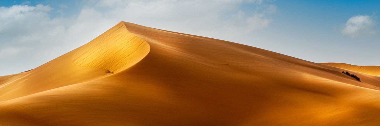 thowini's profile banner image