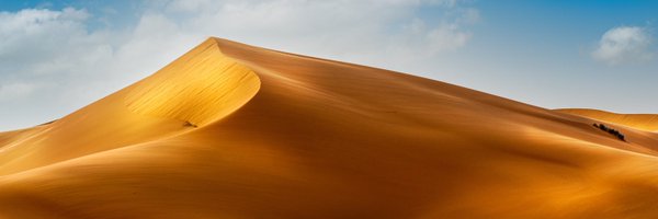 thowini Profile Banner