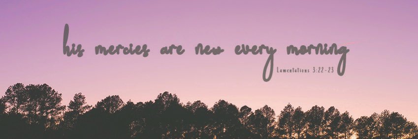 Stephanie Warner banner