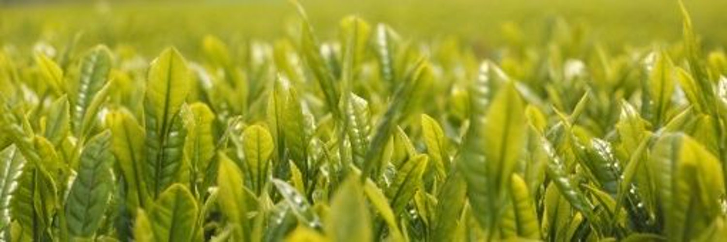 tyaba_7's profile banner image