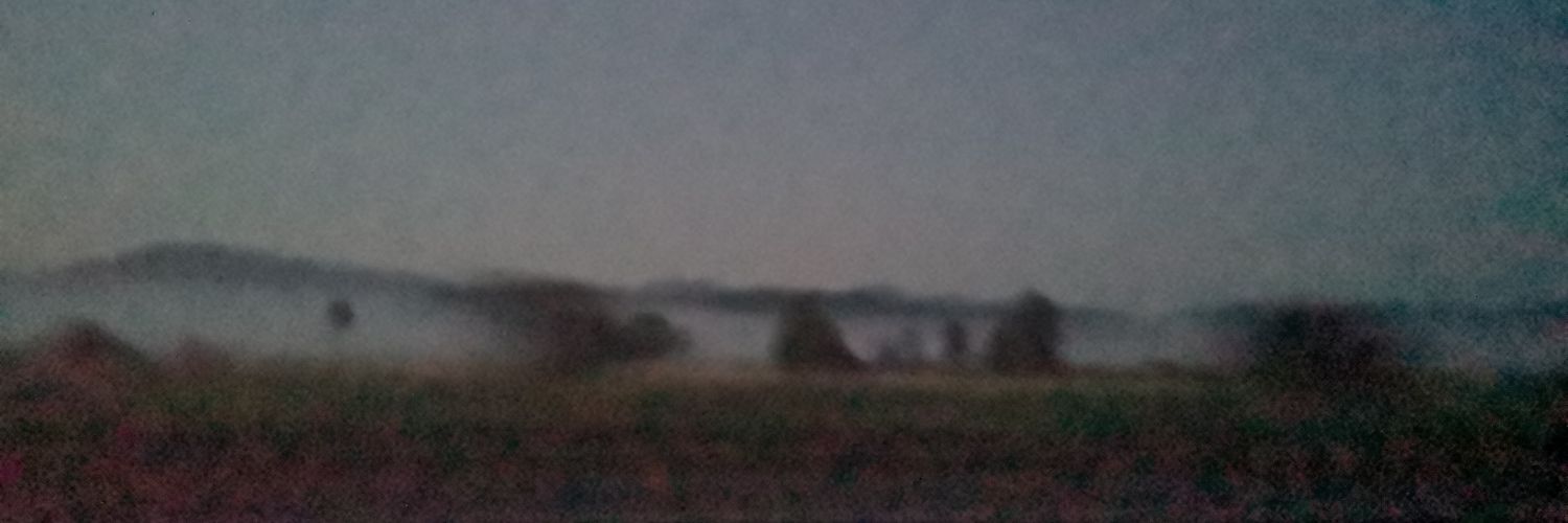 wilpux's profile banner image