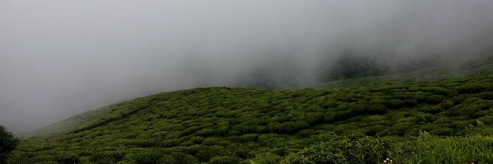 avijitghosh92's profile banner image
