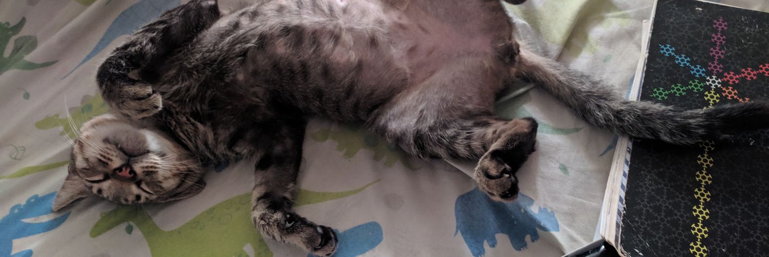 Ledif_W's profile banner image