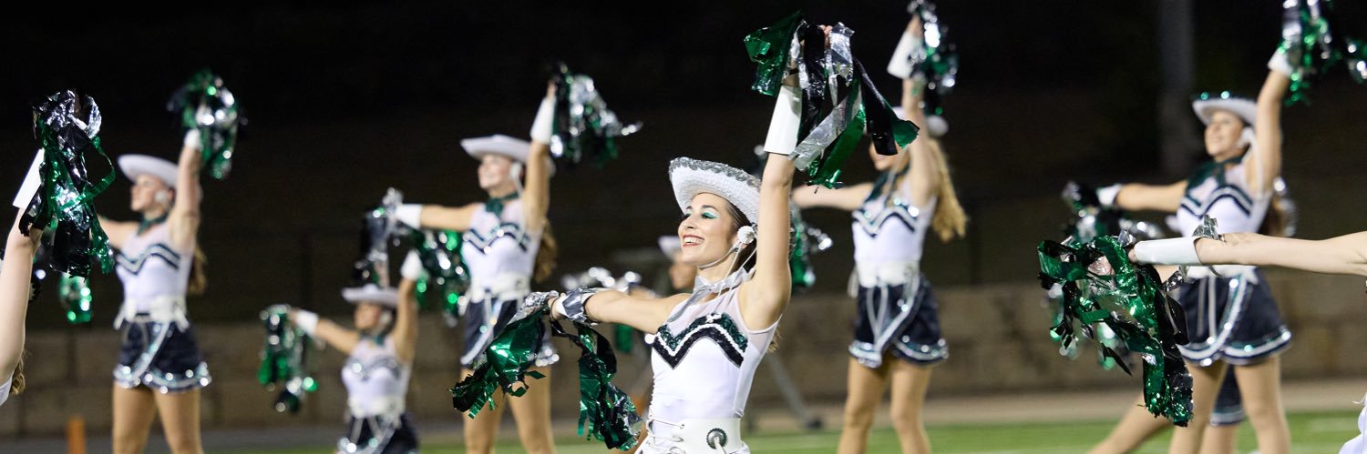 Cedar Park High School banner