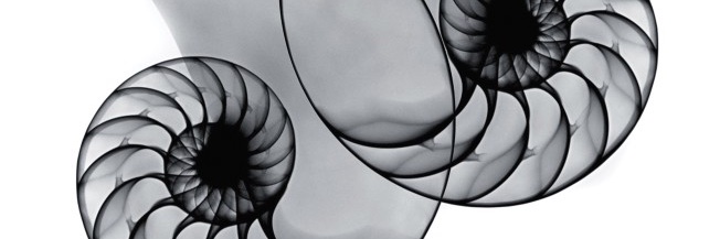 Marco Tamborini banner