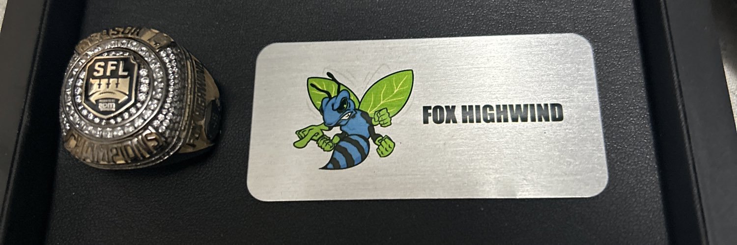 Fox Highwind 🦊 banner