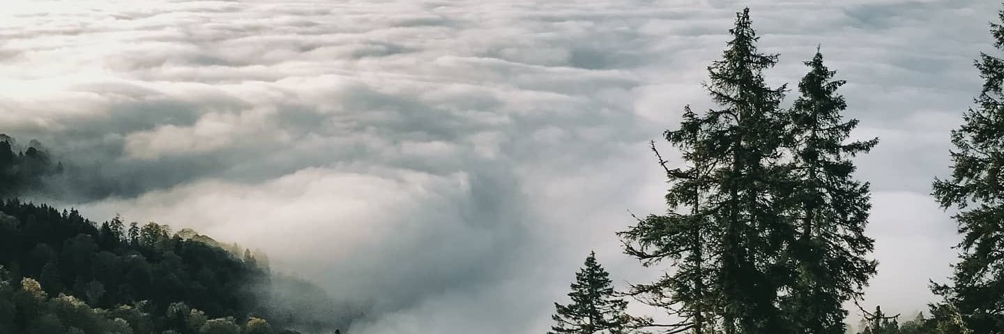 🅟🅞🅨🅡🅐🅩  banner