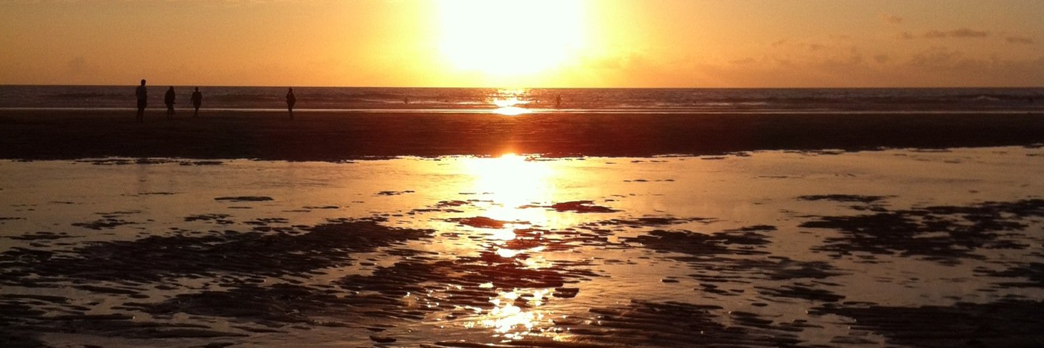dabeach1's profile banner image