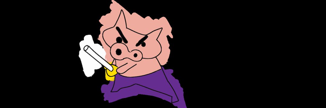 Navarro banner
