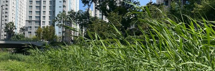 hamizzang38's profile banner image