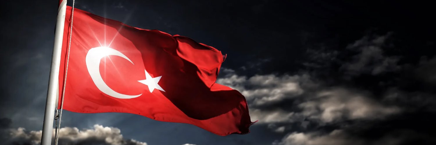 Elif Armutcuoğlu banner