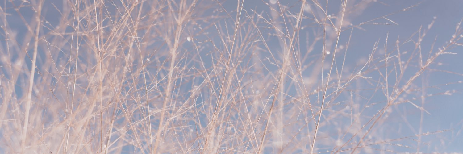 Caroline201811's profile banner image