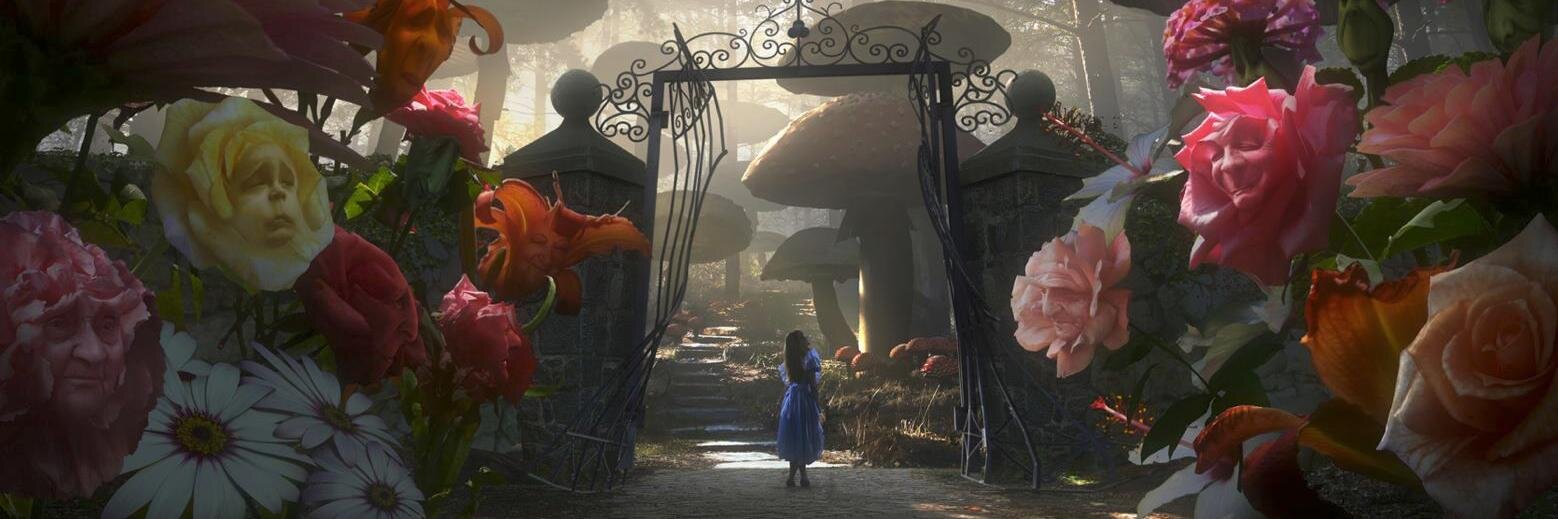 tarabitza's profile banner image