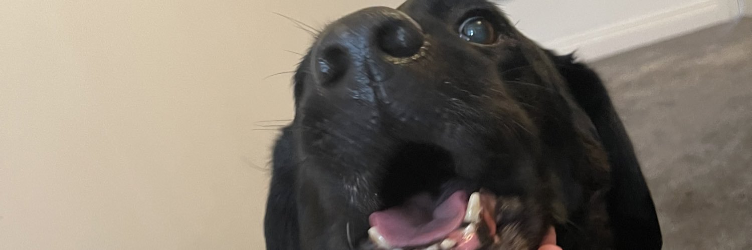 PointlessSte's profile banner image