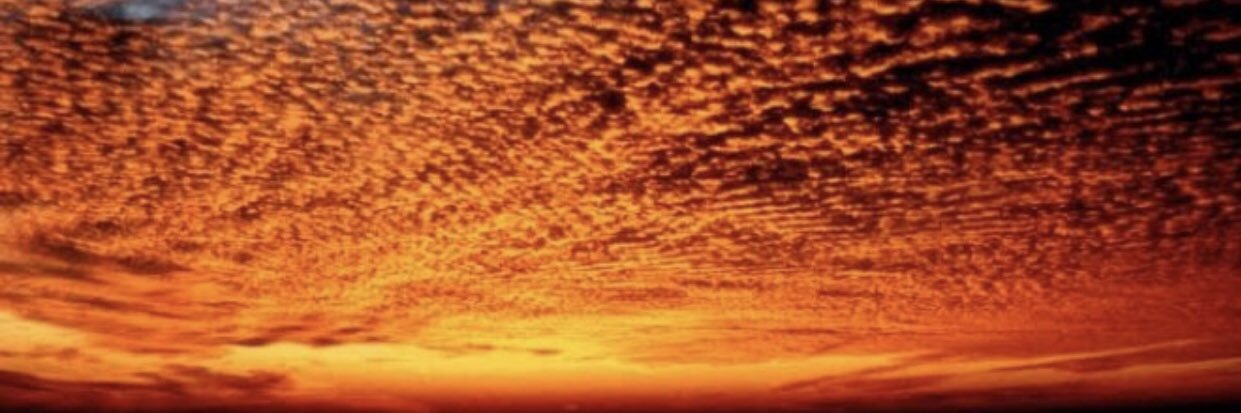 Nomhle Tyulu🤍 banner