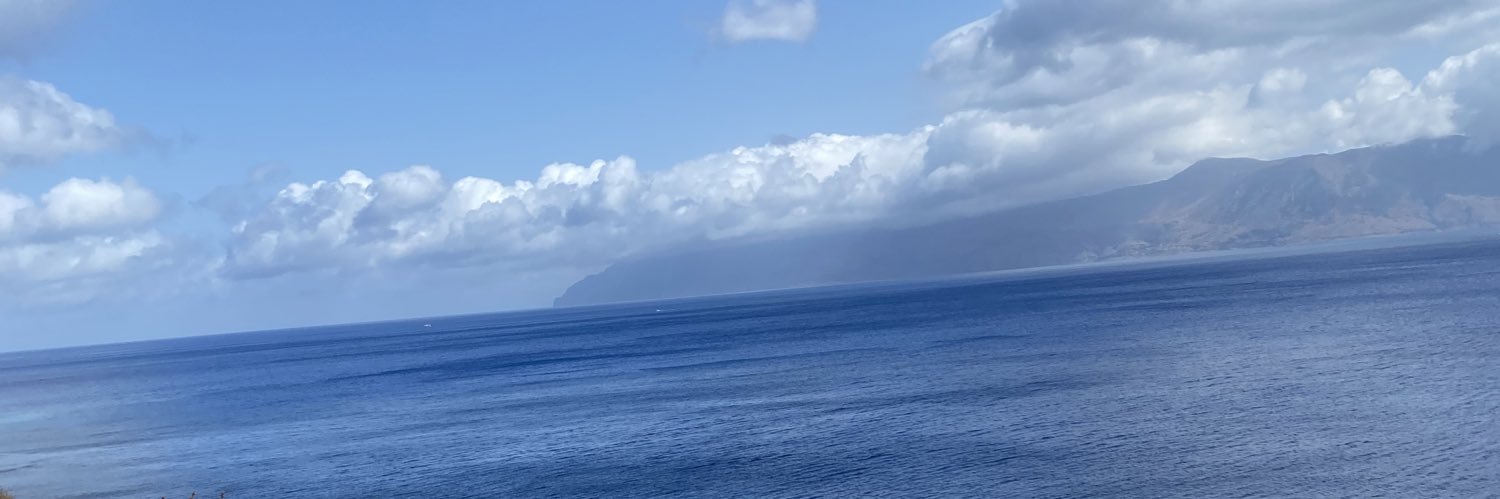 flo banner